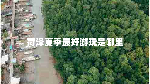 菏澤夏季最好游玩是哪里 菏澤夏季最好游玩是哪里