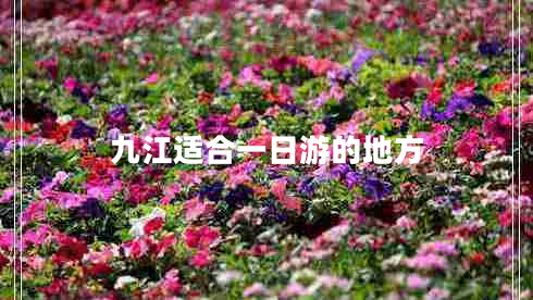 九江適合一日游的地方 九江適合一日游的地方