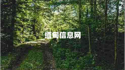 緬甸信息網(wǎng) 緬甸信息網(wǎng)