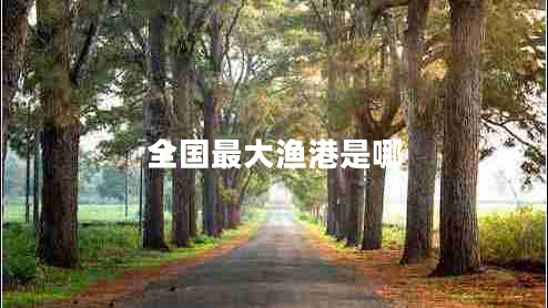 全國最大漁港是哪 全國最大漁港是哪