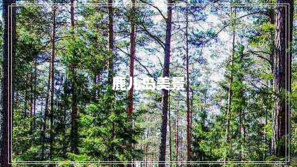 鹿兒島美景 鹿兒島美景