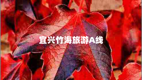 宜興竹海旅游A線 宜興竹海旅游A線