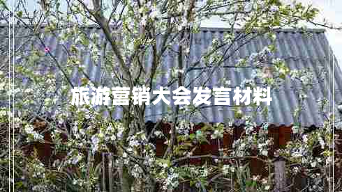 旅游營銷大會(huì)發(fā)言材料