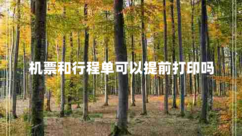 機(jī)票和行程單可以提前打印嗎