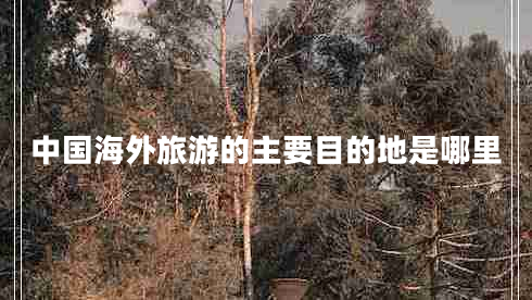中國(guó)海外旅游的主要目的地是哪里