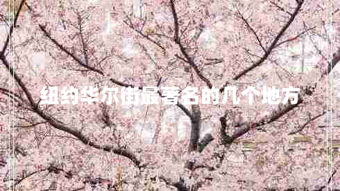 紐約華爾街最著名的幾個(gè)地方 紐約華爾街最著名的幾個(gè)地方