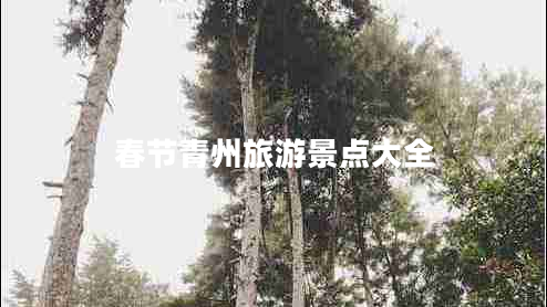 春節(jié)青州旅游景點大全