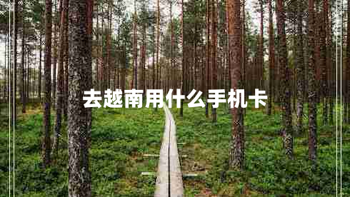 去越南用什么手機(jī)卡 去越南用什么手機(jī)卡