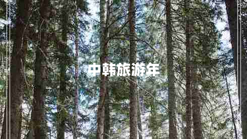 中韓旅游年 中韓旅游年