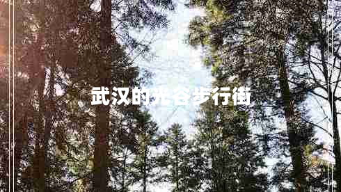 武漢的光谷步行街 武漢的光谷步行街