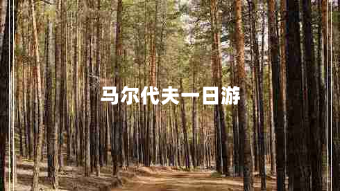 馬爾代夫一日游 馬爾代夫一日游