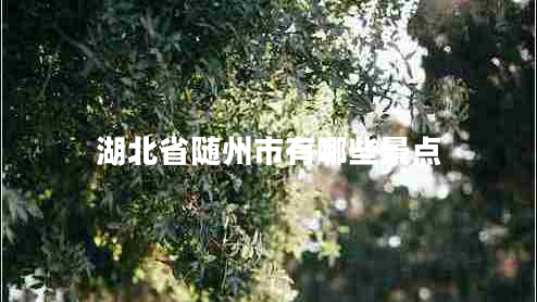 湖北省隨州市有哪些景點 湖北省隨州市有哪些景點