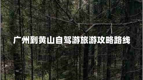 廣州到黃山自駕游旅游攻略路線 廣州到黃山自駕游旅游攻略路線