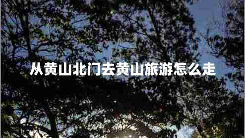 從黃山北門去黃山旅游怎么走 從黃山北門去黃山旅游怎么走