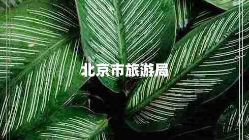 北京市旅游局 北京市旅游局