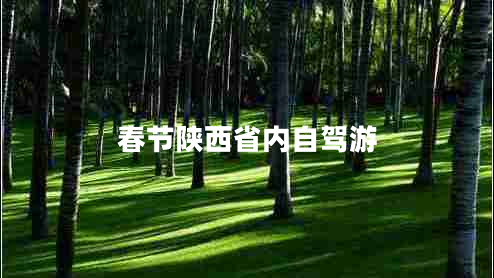 春節(jié)陜西省內(nèi)自駕游 春節(jié)陜西省內(nèi)自駕游