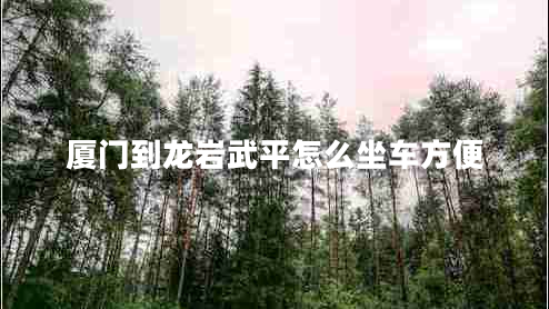 廈門到龍巖武平怎么坐車方便