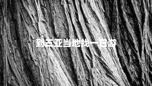 到三亞當?shù)卣乙蝗沼? title=