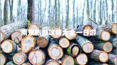 南京旅游攻略大全一日游 南京旅游攻略大全一日游