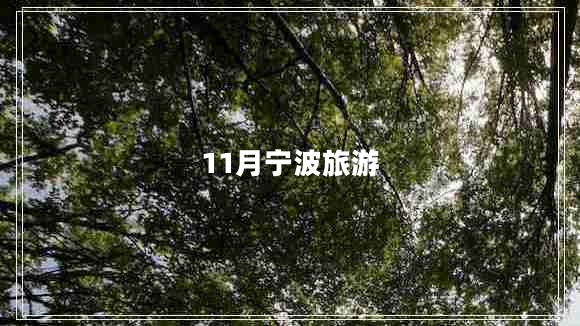 11月寧波旅游