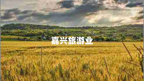 嘉興旅游業(yè)