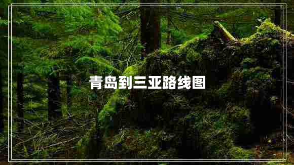 青島到三亞路線圖