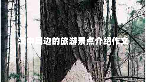 漢中周邊的旅游景點介紹作文