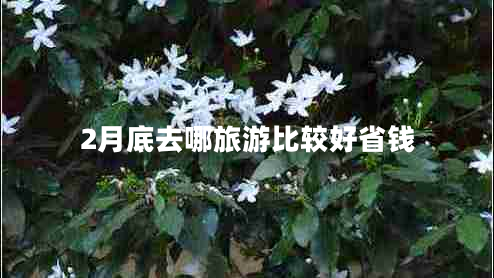 2月底去哪旅游比較好省錢