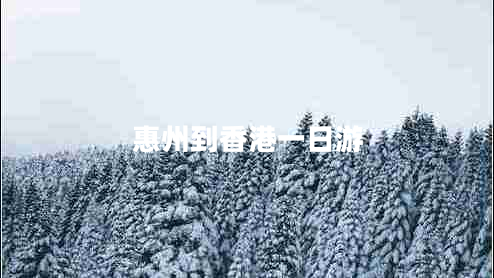 惠州到香港一日游