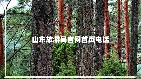 山東旅游局官網(wǎng)首頁(yè)電話
