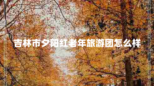 吉林市夕陽紅老年旅游團(tuán)怎么樣 吉林市夕陽紅老年旅游團(tuán)怎么樣