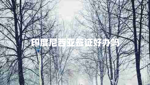 印度尼西亞簽證好辦嗎