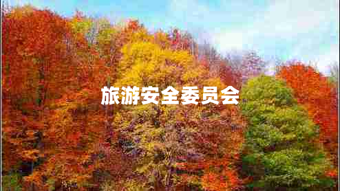 旅游安全委員會(huì) 旅游安全委員會(huì)