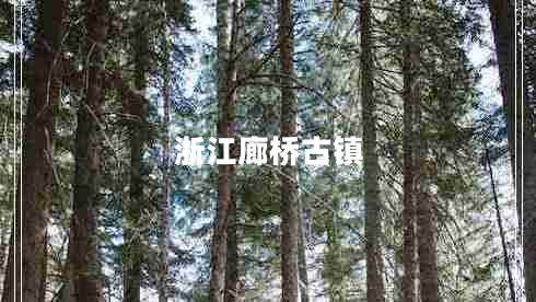 浙江廊橋古鎮(zhèn) 浙江廊橋古鎮(zhèn)