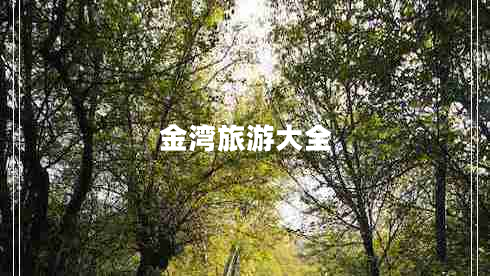 金灣旅游大全 金灣旅游大全