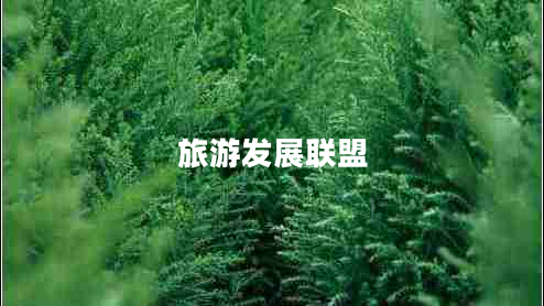 旅游發(fā)展聯(lián)盟