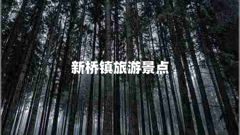 新橋鎮(zhèn)旅游景點(diǎn)