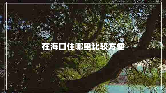 在?？谧∧睦锉容^方便