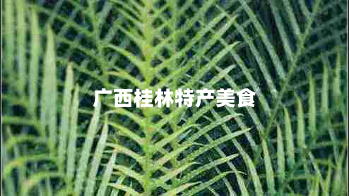 廣西桂林特產(chǎn)美食
