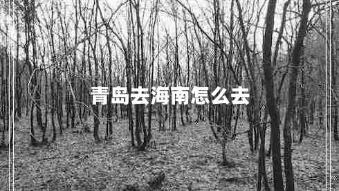 青島去海南怎么去