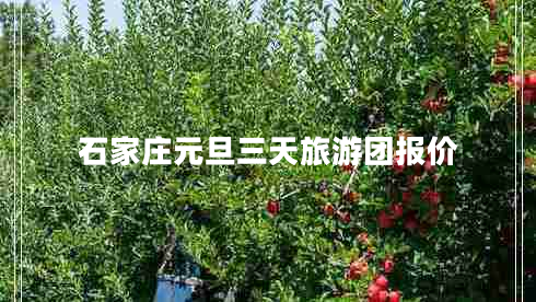 石家莊元旦三天旅游團報價