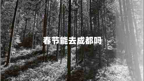 春節(jié)能去成都嗎 春節(jié)能去成都嗎