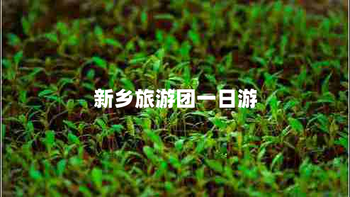 新鄉(xiāng)旅游團(tuán)一日游