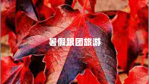 暑假跟團旅游 暑假跟團旅游