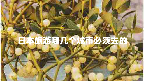 日本旅游哪幾個城市必須去的