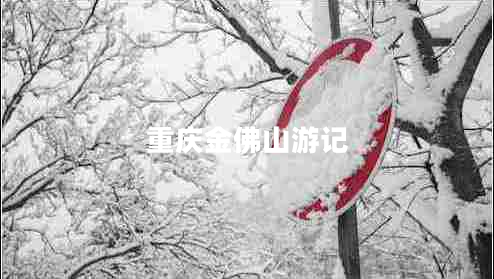 重慶金佛山游記 重慶金佛山游記