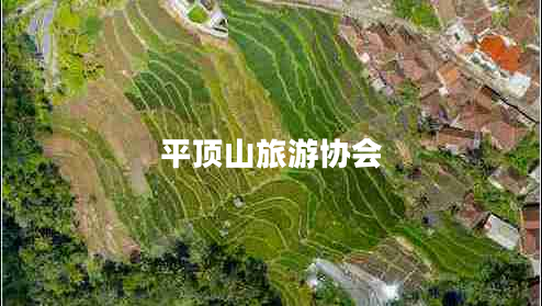 平頂山旅游協(xié)會(huì) 平頂山旅游協(xié)會(huì)