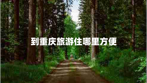 到重慶旅游住哪里方便 到重慶旅游住哪里方便