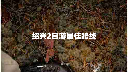 紹興2日游最佳路線