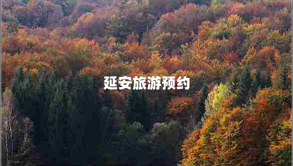 延安旅游預(yù)約